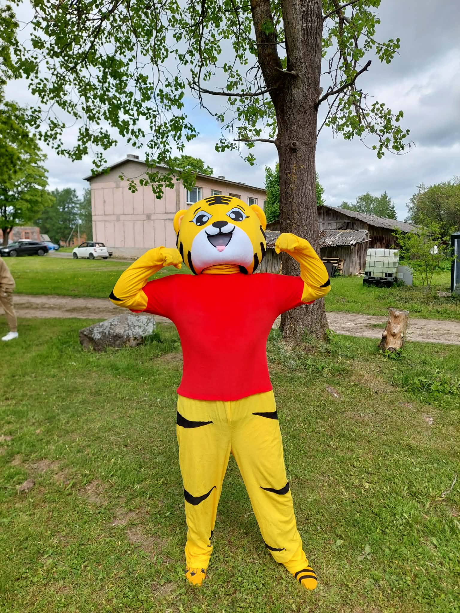 Tiiger